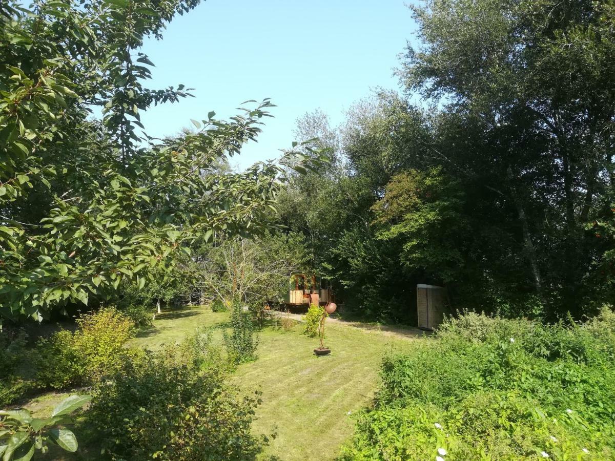 Vegawagen Psyche, Een Sprookje In Coevorden Exterior photo